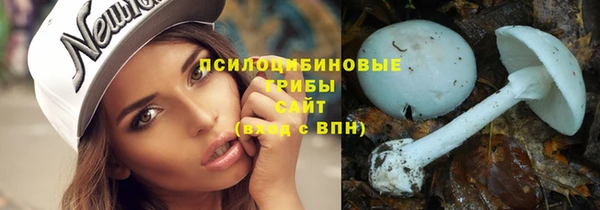 прущая мука Гусев