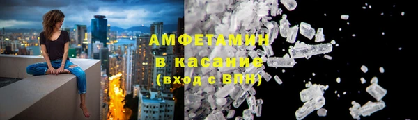 прущие грибы Дмитров