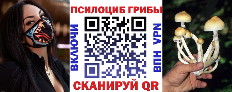 Галлюциногенные грибы мицелий  гидра вход  Пермь 